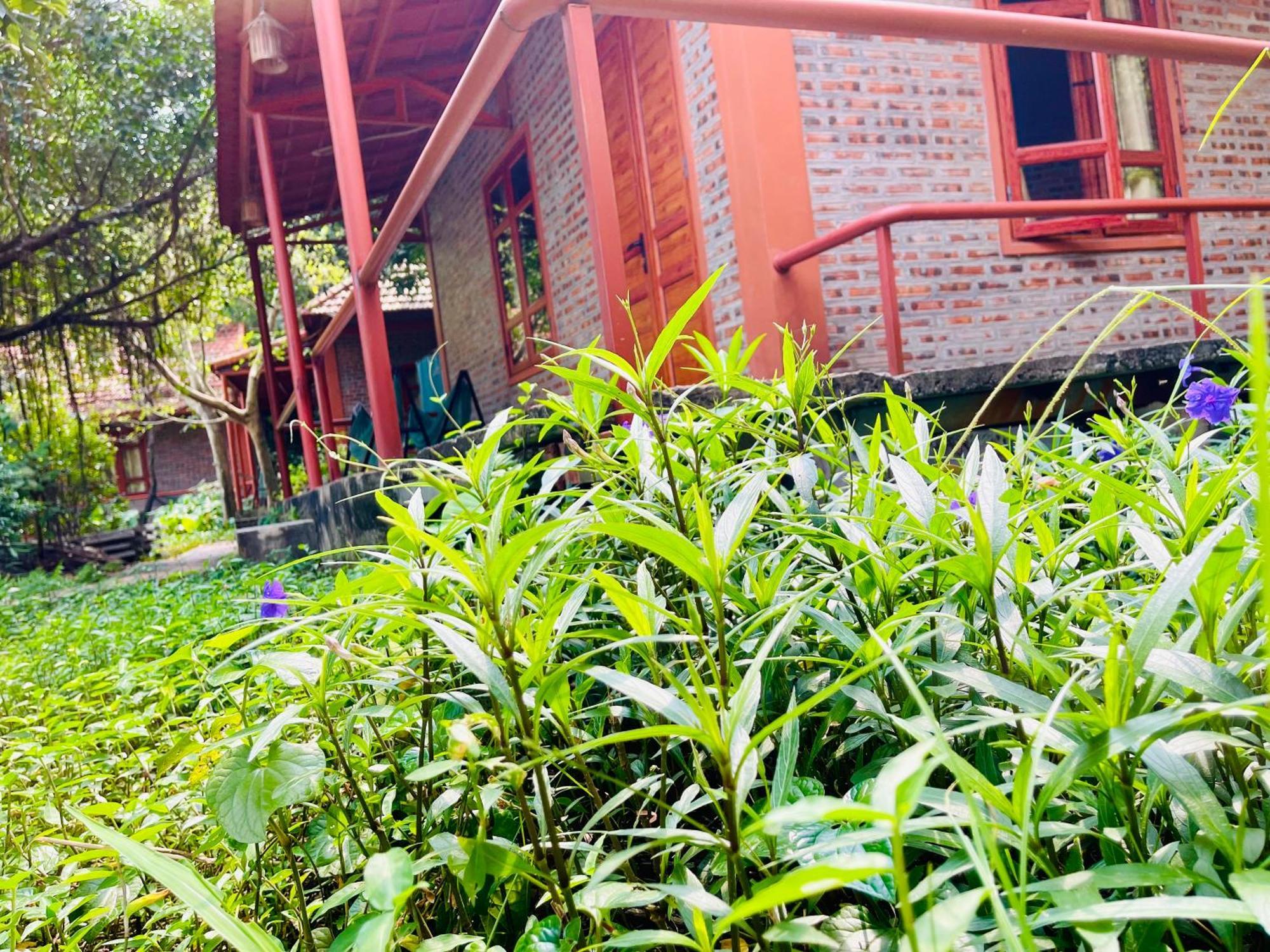 Trang An Lotus Lake Homestay Ninh Bình Extérieur photo