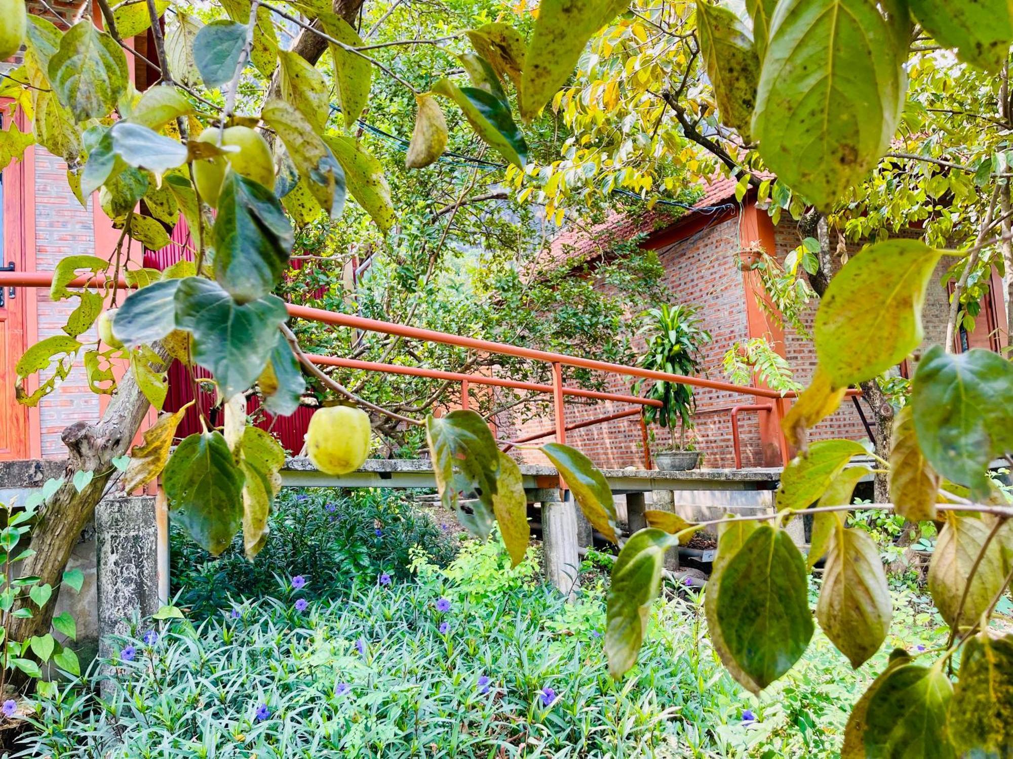 Trang An Lotus Lake Homestay Ninh Bình Extérieur photo