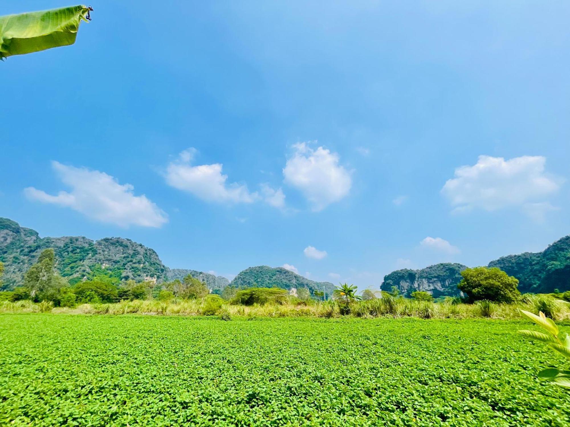 Trang An Lotus Lake Homestay Ninh Bình Extérieur photo