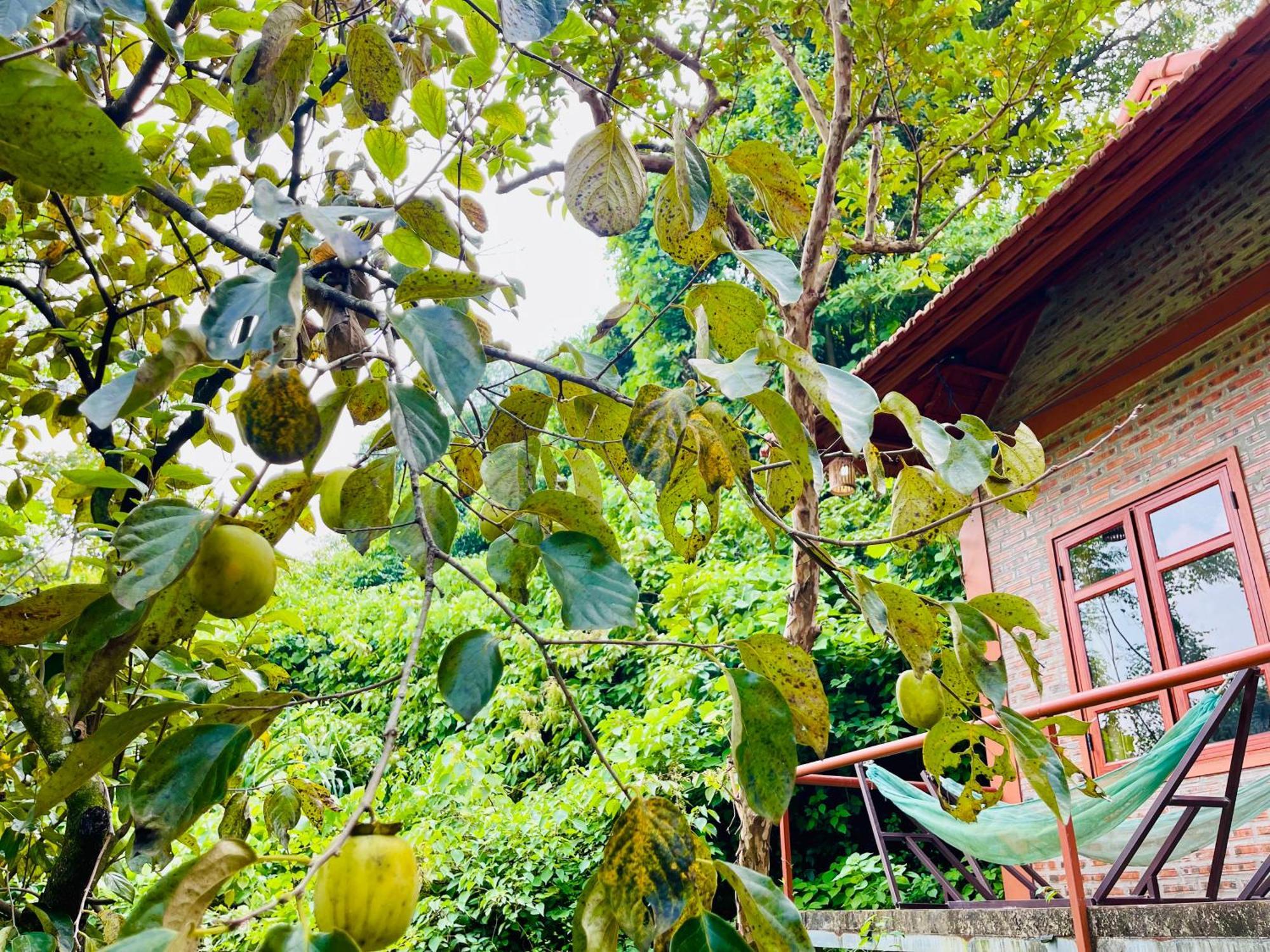 Trang An Lotus Lake Homestay Ninh Bình Extérieur photo