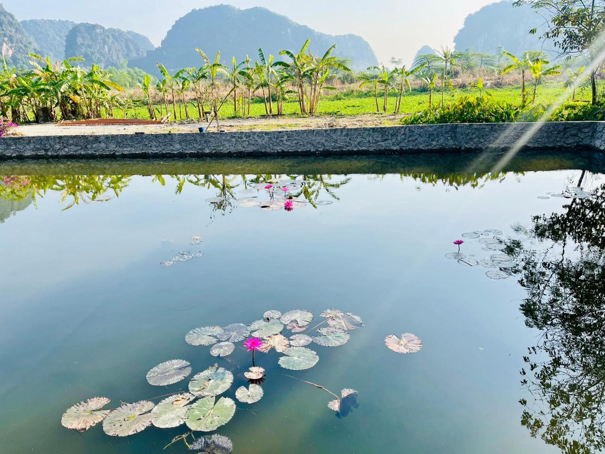 Trang An Lotus Lake Homestay Ninh Bình Extérieur photo